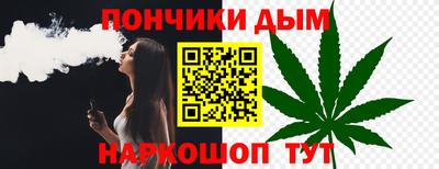 индика Обь