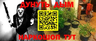 индика Обь