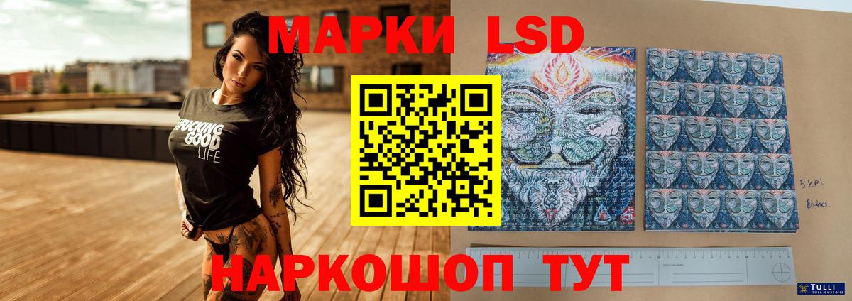 ЛСД экстази ecstasy  LSD-25 экстази ecstasy  LSD-25 экстази  Аргун  Вход с VPN 
