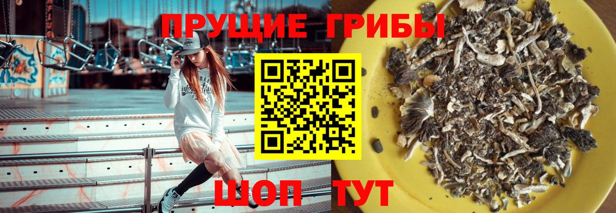 Галлюциногенные грибы Magic Shrooms Аргун