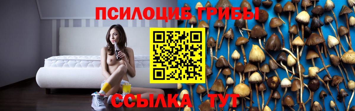Галлюциногенные грибы ЛСД  Псилоцибиновые грибы ЛСД  Аргун  Вход с VPN 